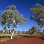 Australien